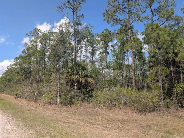 $15,000 | 802 Althea Drive, Indian Lake Estates, FL 33843