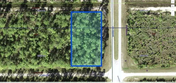 $15,000 | 802 Althea Drive, Indian Lake Estates, FL 33843