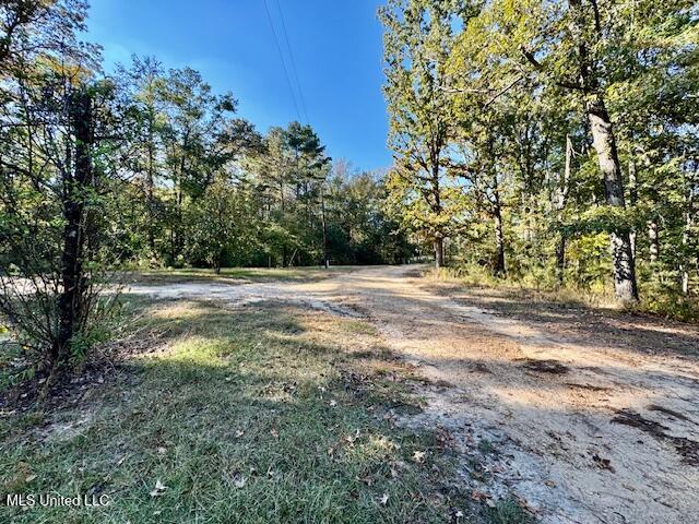 231 Hill Top Road Harrisville, MS 39082 - Photo 53 of 55 IMG_9114