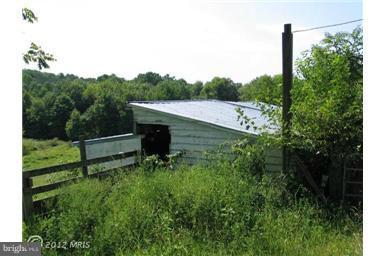 23511 Shiloh Church Road Boyds, MD 20841 - Photo 12 of 17 Exterior (General) - shed