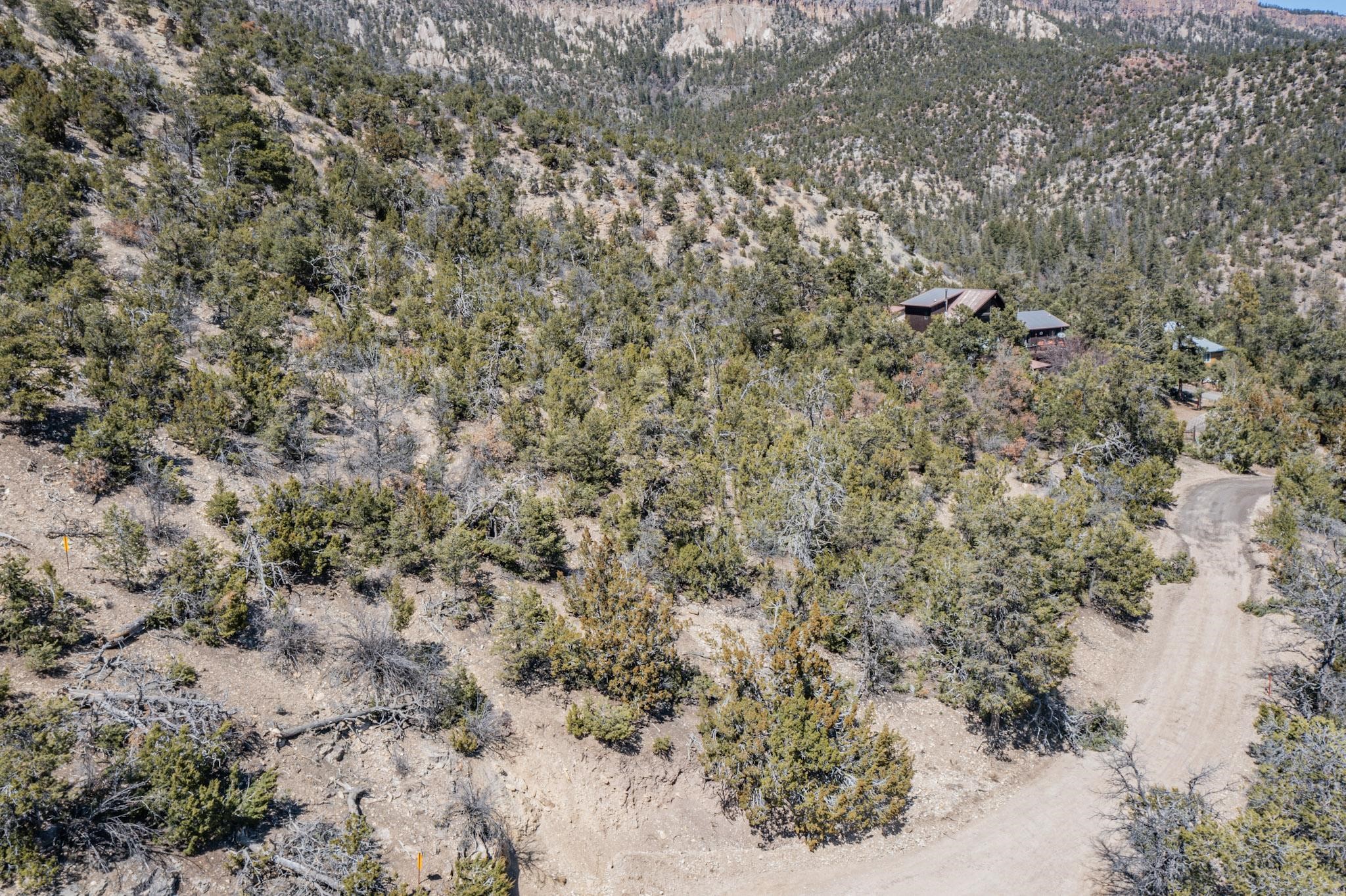 45 A Banco Bonito Road Jemez Springs, NM 87025 - Photo 16 of 17