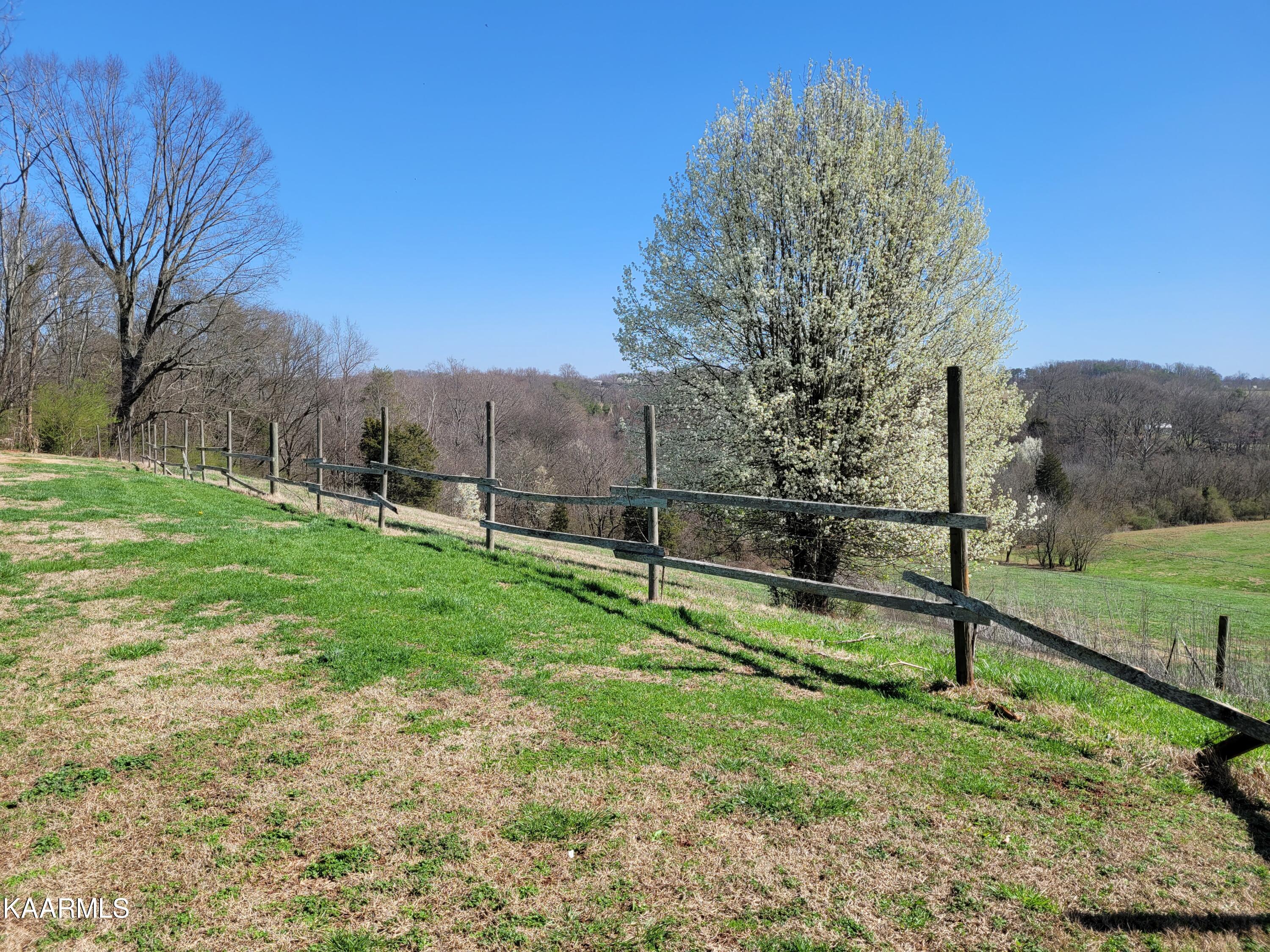 170 Anderson Road Sweetwater, TN 37874 - Photo 8 of 14 170 Anderson Rd Side Pasture