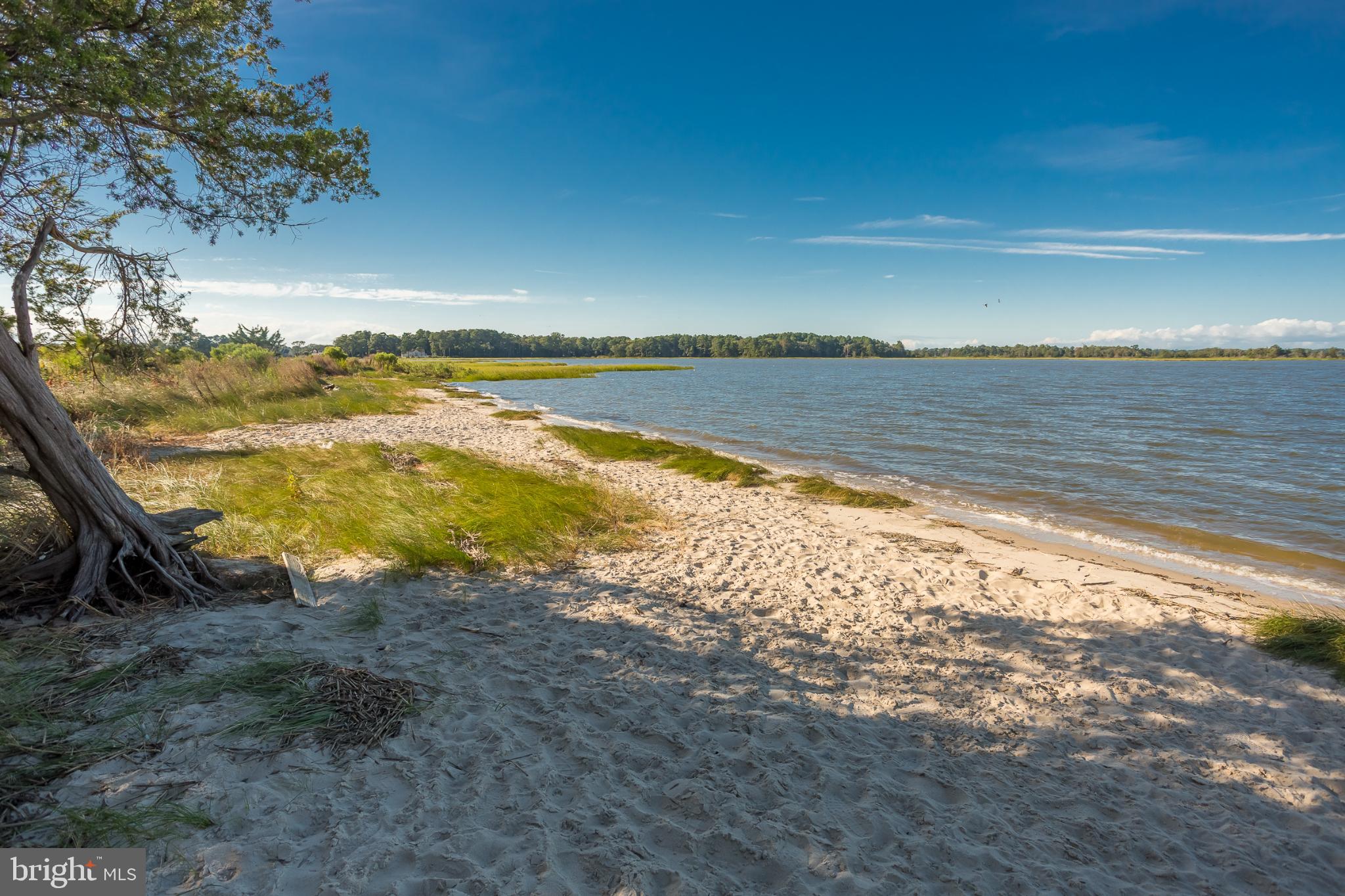 30837 West Lagoon Road Dagsboro, DE 19939 - Photo 30 of 36 Serene shoreline under a clear blue sky.