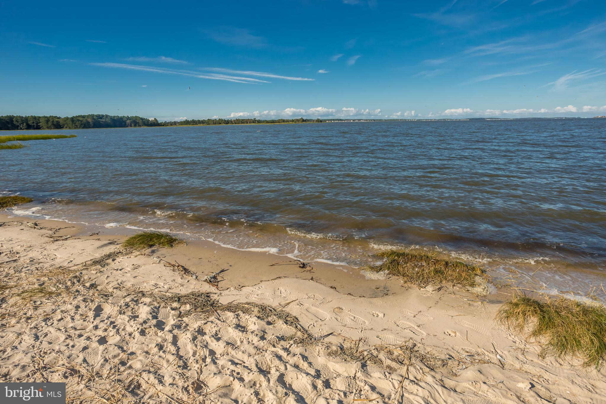 30837 West Lagoon Road Dagsboro, DE 19939 - Photo 32 of 36 Serene shoreline under a clear blue sky.