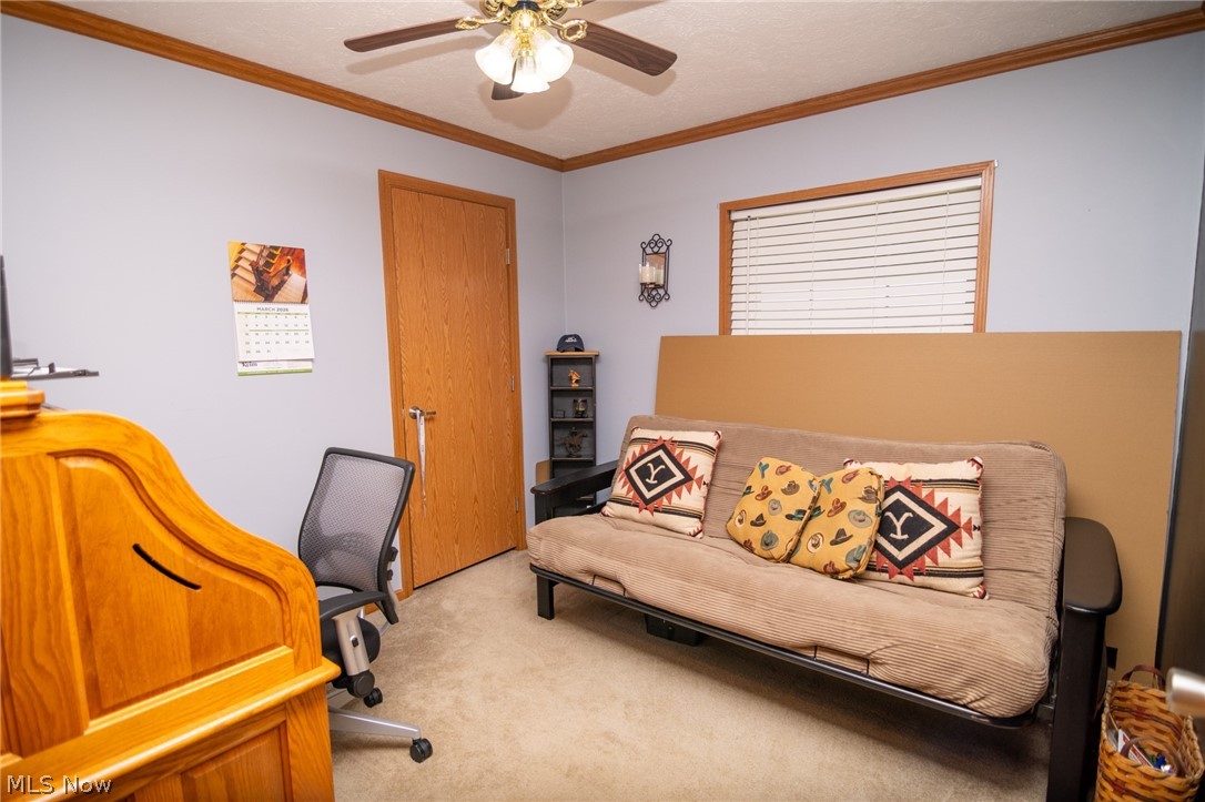 41152 Black Oak Road Flushing, OH 43977 - Photo 27 of 48 Bedroom 3/ Office