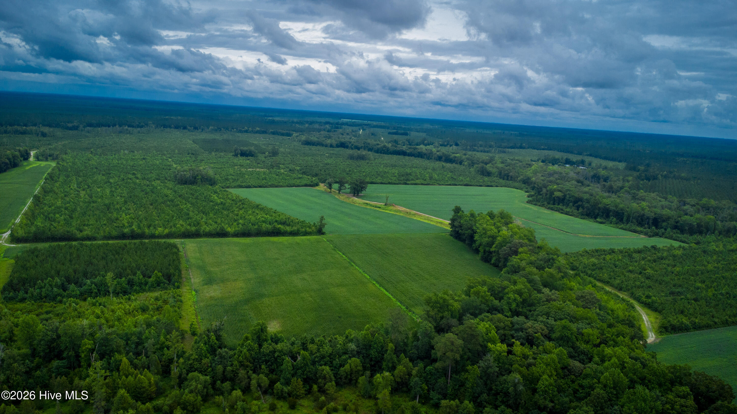 1601 Hill Neck Road Ernul, NC 28527 - Photo 11 of 33 Over 230 Acres of Opportunity