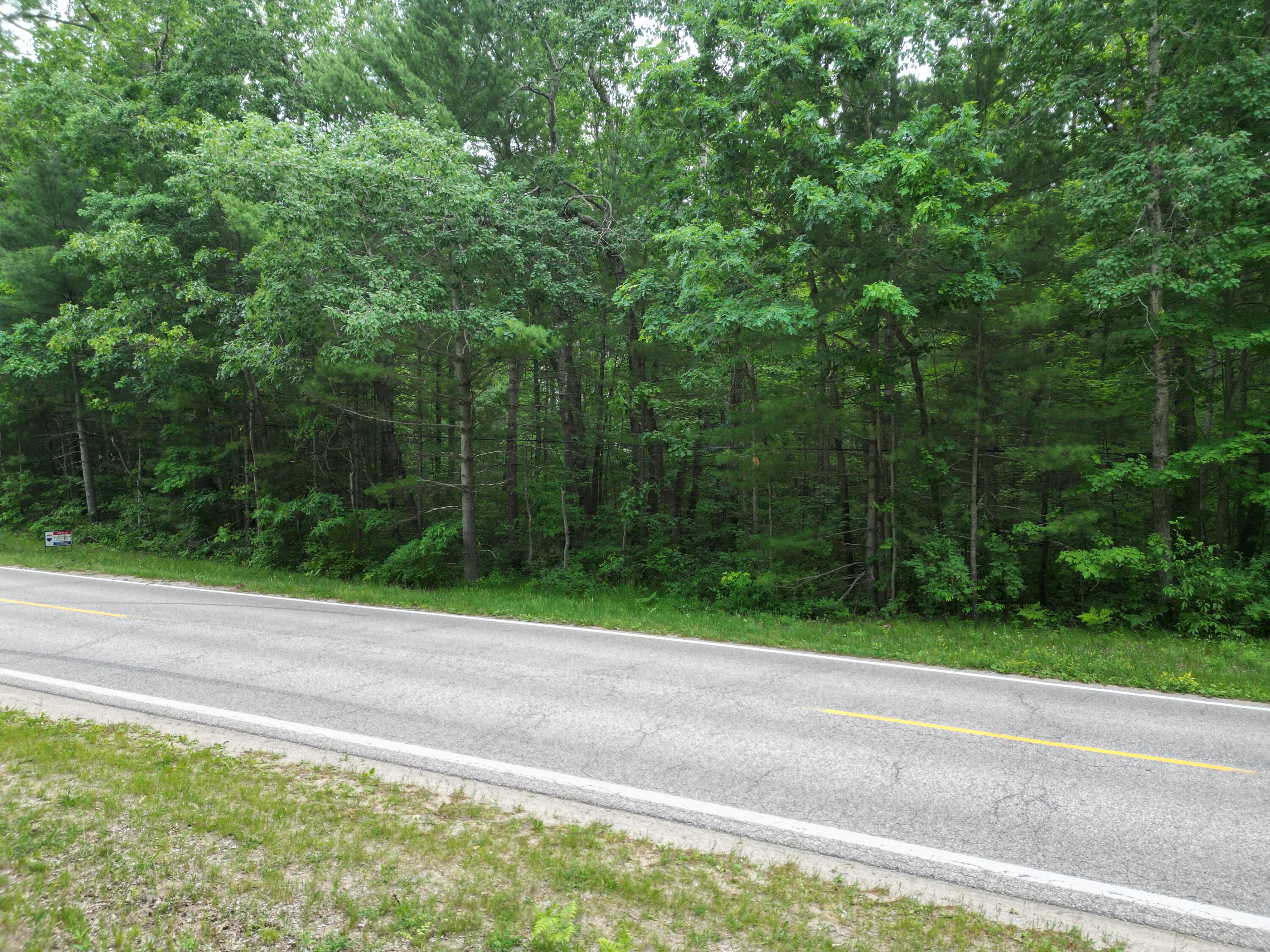 86 South Walhalla Road Branch, MI 49402 - Photo 11 of 21 DJI_0749