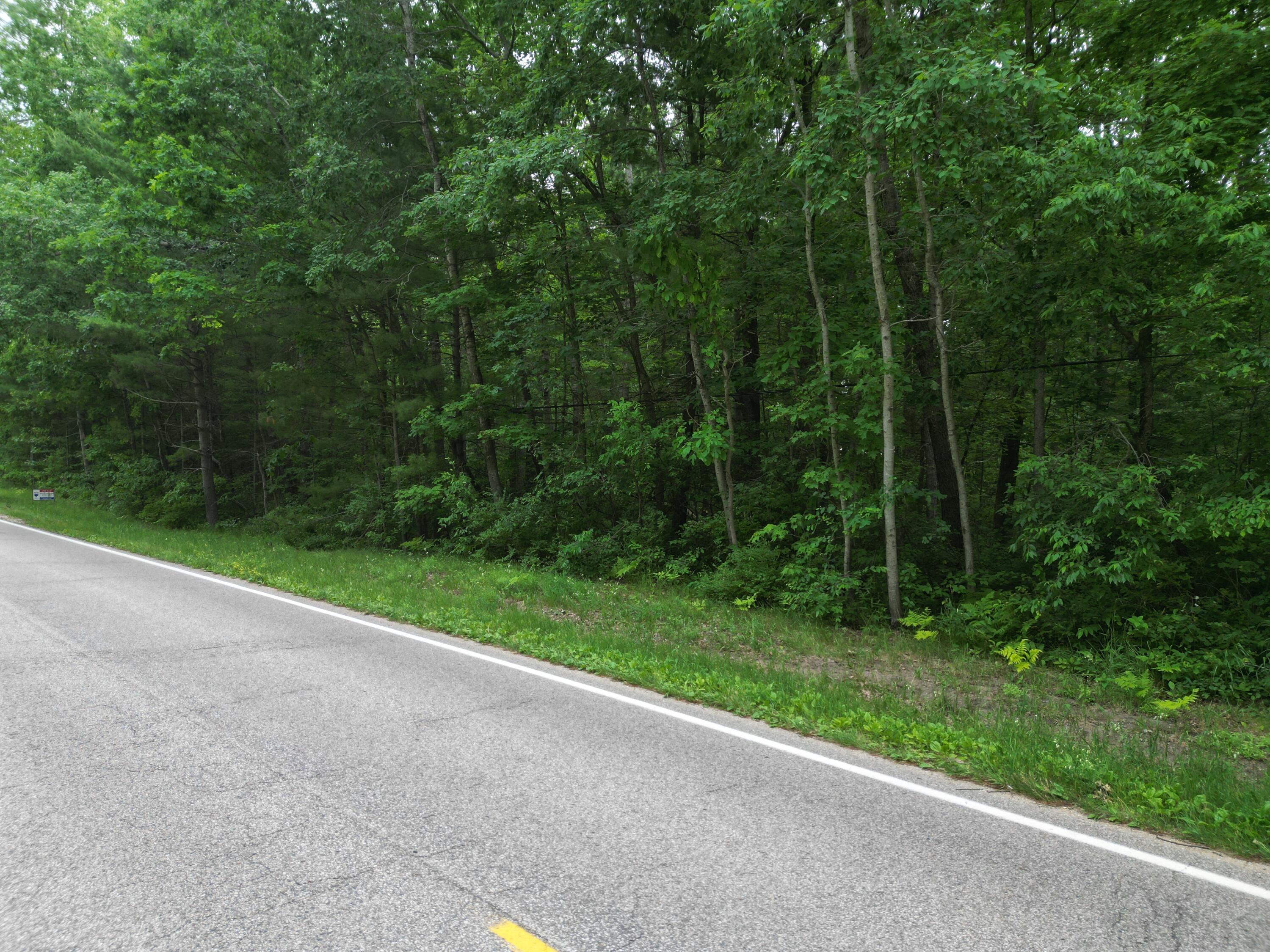 86 South Walhalla Road Branch, MI 49402 - Photo 12 of 21 DJI_0750