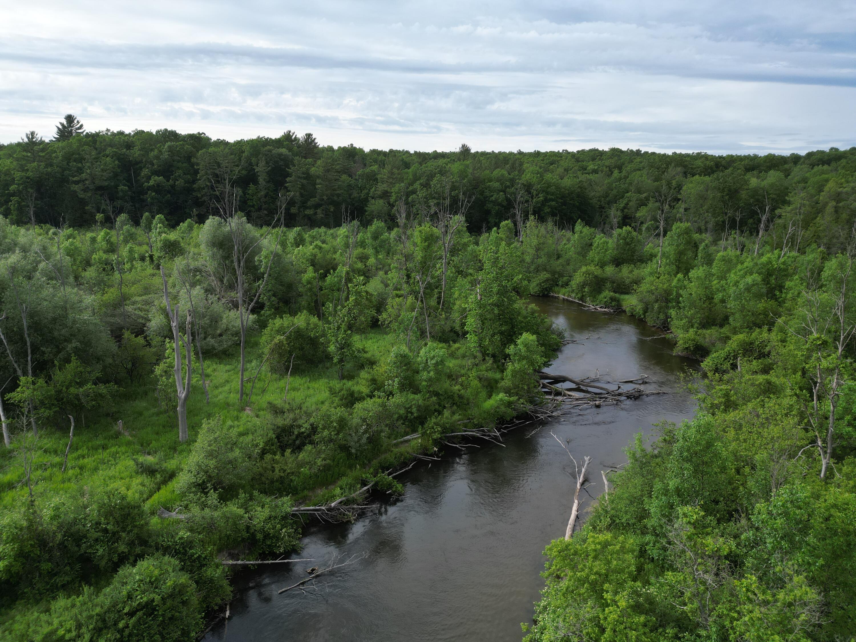 86 South Walhalla Road Branch, MI 49402 - Photo 15 of 21 DJI_0756