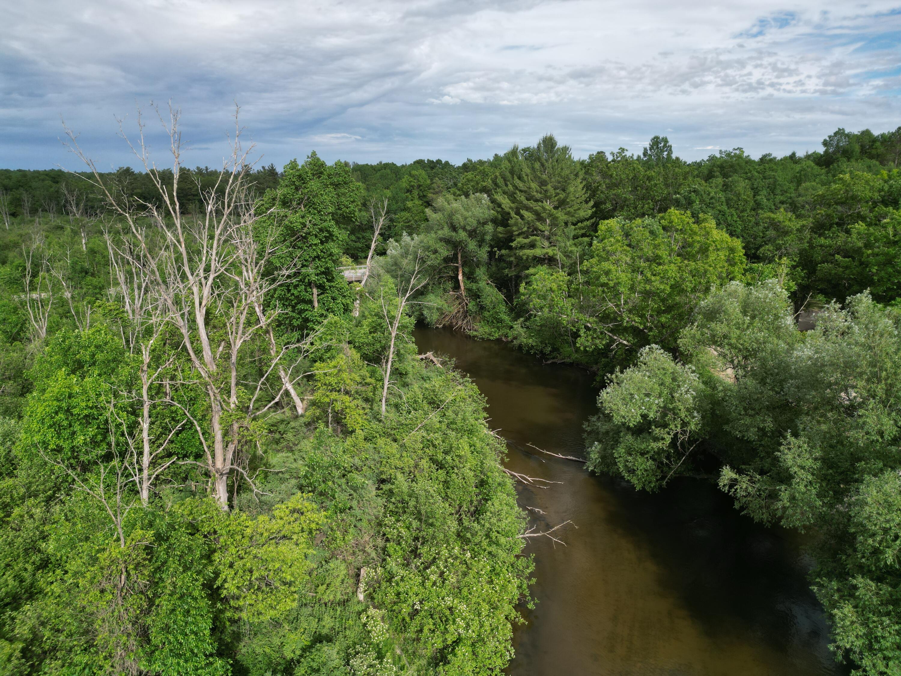 86 South Walhalla Road Branch, MI 49402 - Photo 16 of 21 DJI_0757