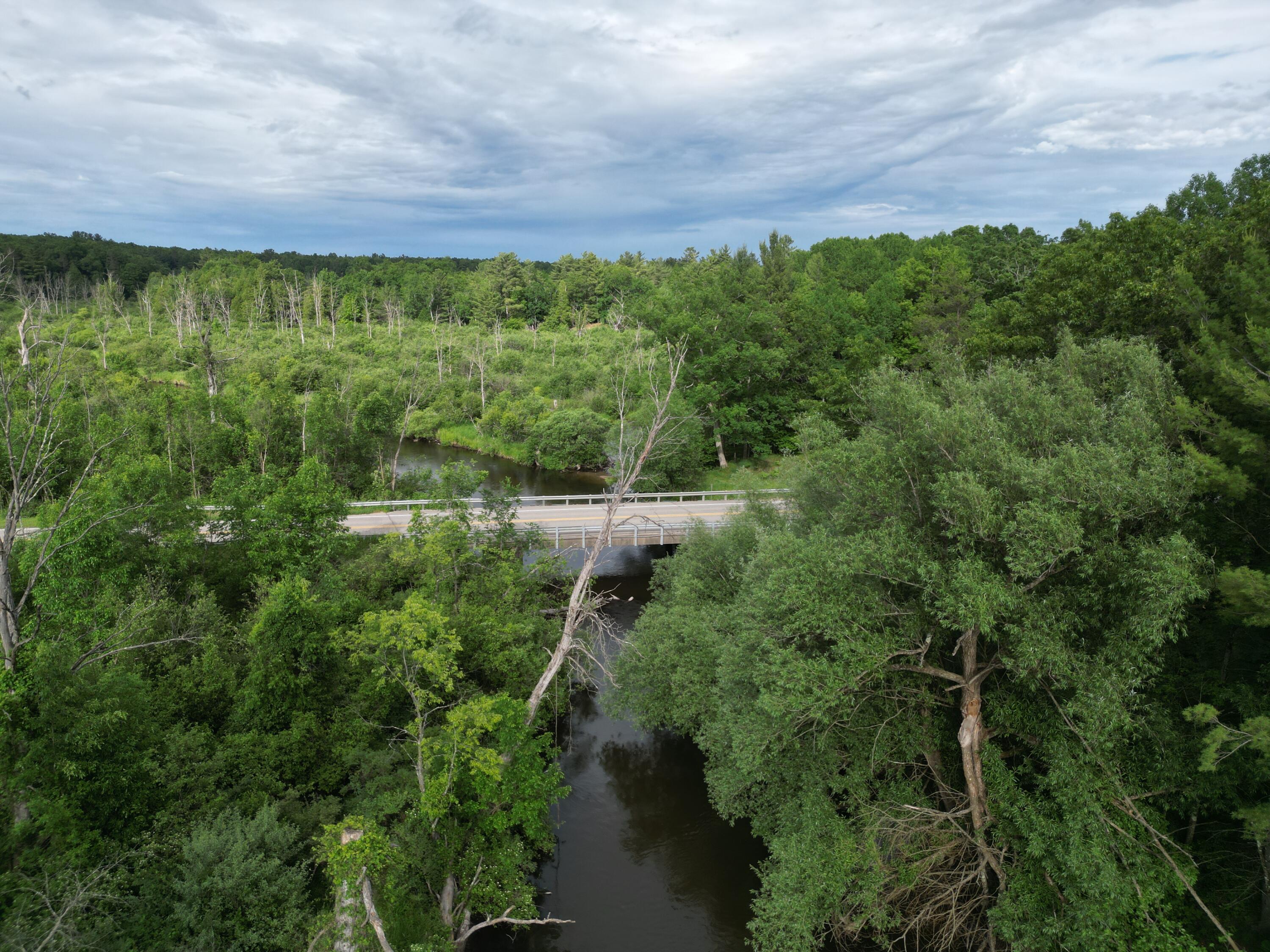 86 South Walhalla Road Branch, MI 49402 - Photo 17 of 21 DJI_0759