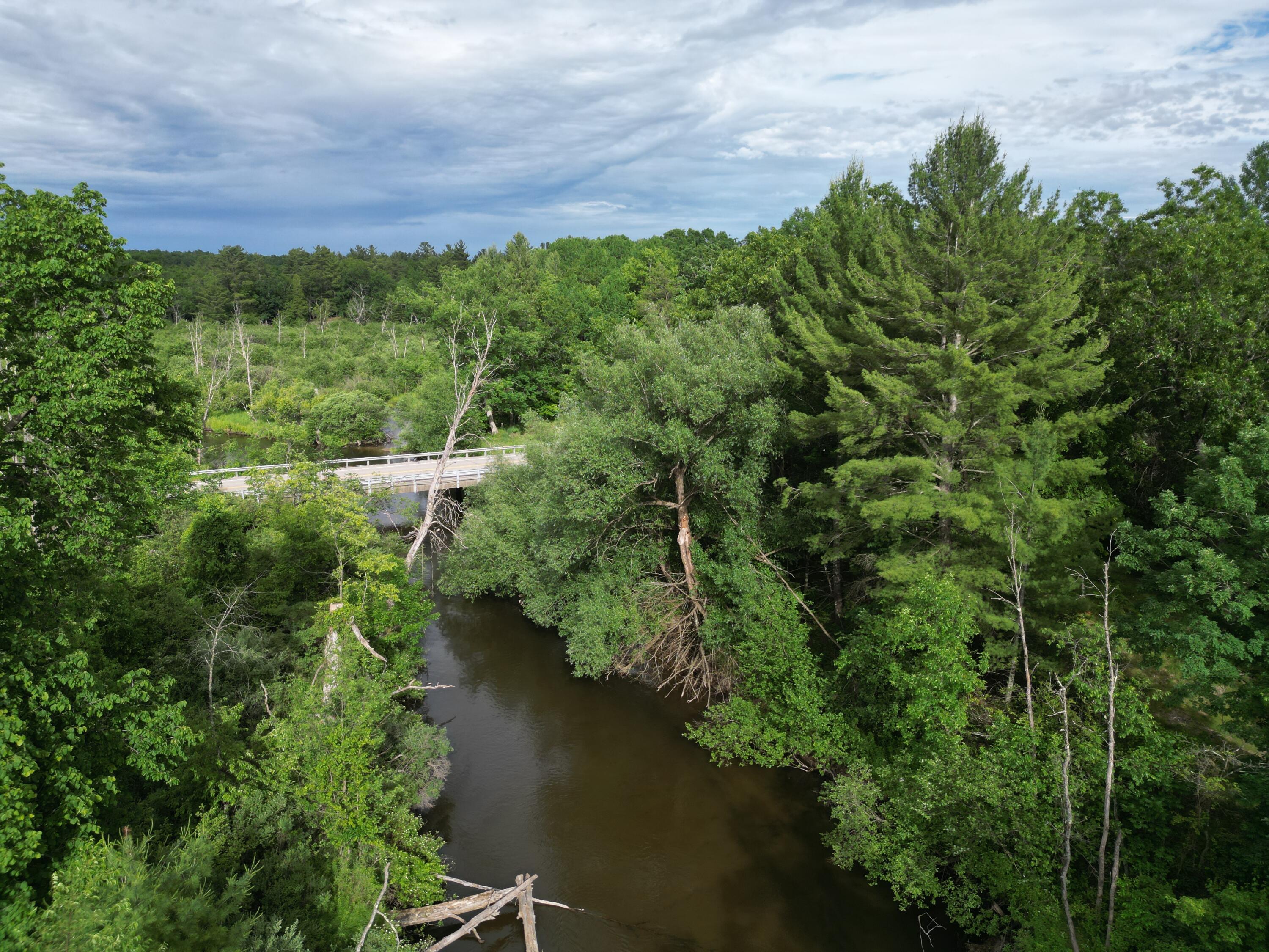 86 South Walhalla Road Branch, MI 49402 - Photo 4 of 21 DJI_0758