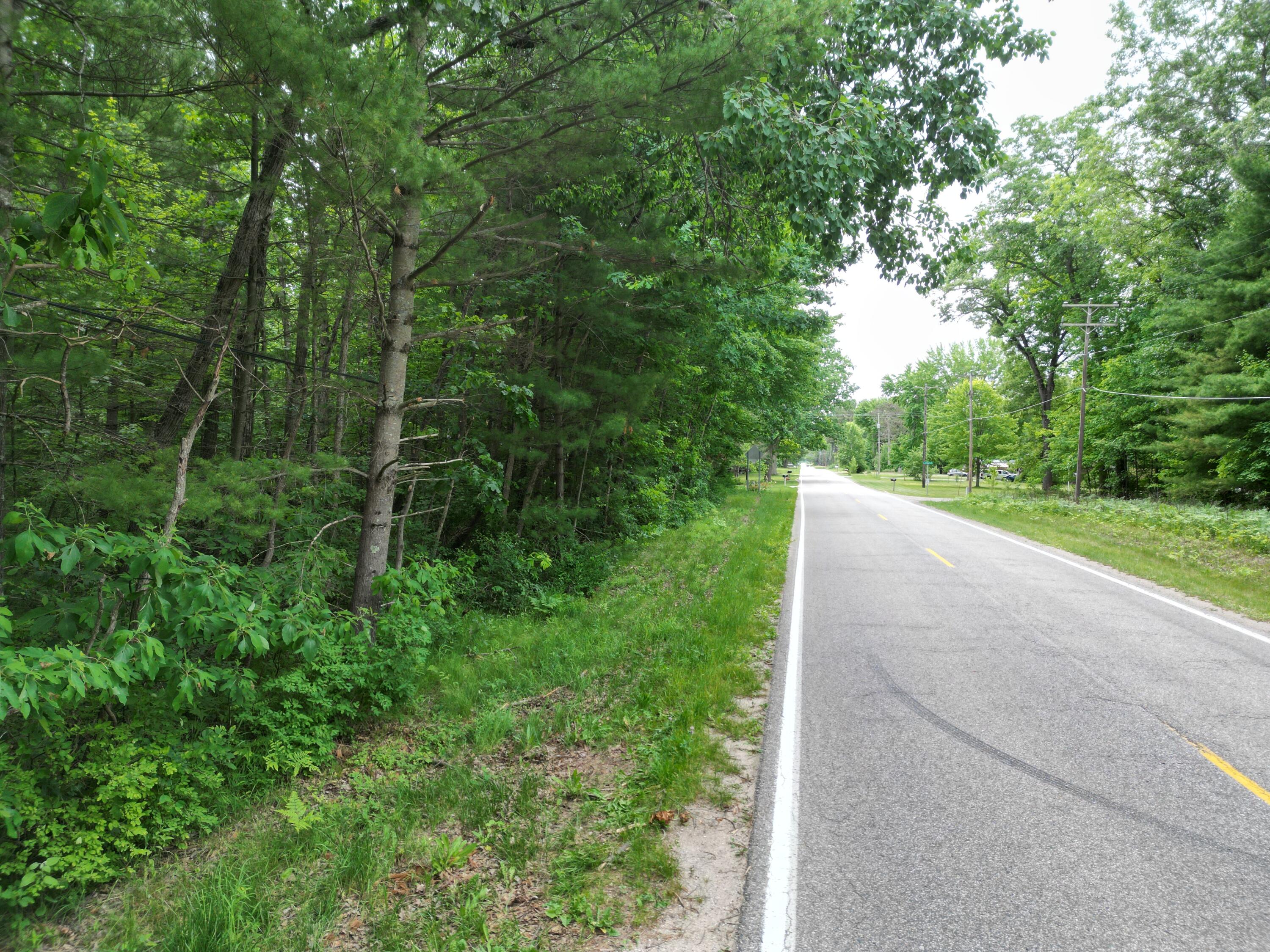 86 South Walhalla Road Branch, MI 49402 - Photo 10 of 21 DJI_0748