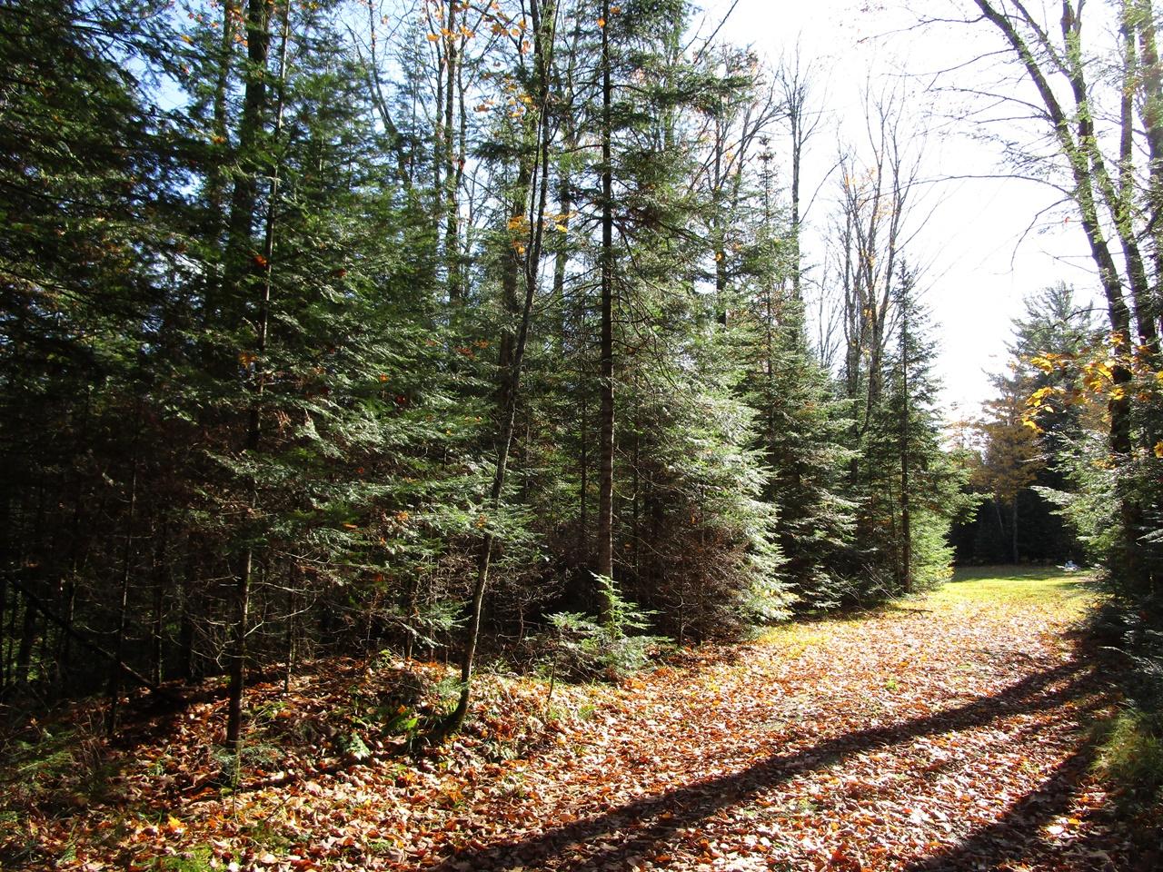 2935 Grant Lake Road Park Falls, WI 54552 - Photo 15 of 23 Gallery Image 15