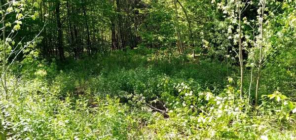 $225,000 | 0 Arnolds Lane, Wolcott, VT 05680