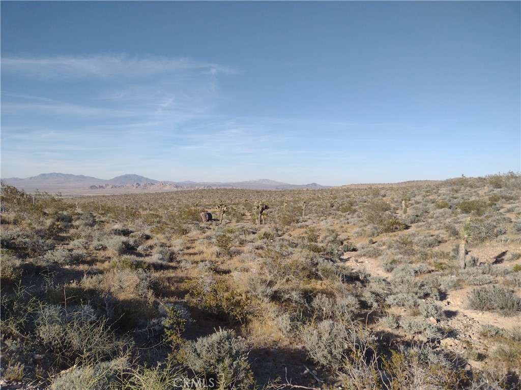 15 Camp Rock Road Lucerne Valley, CA 92356 - Photo 4 of 6 a view of a city
