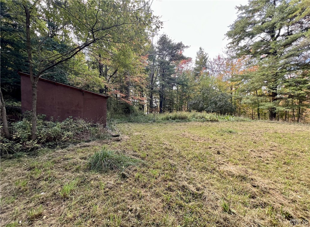 113 Jackson Hollow Road Newfield, NY 14867 - Photo 2 of 6