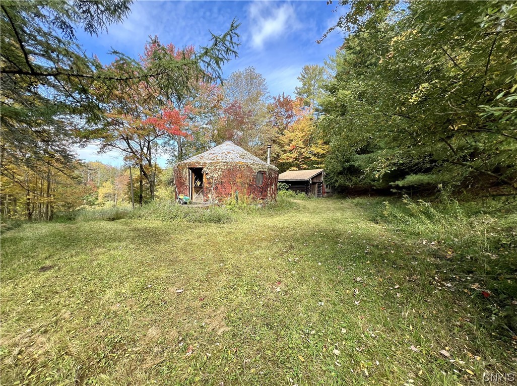 113 Jackson Hollow Road Newfield, NY 14867 - Photo 3 of 6