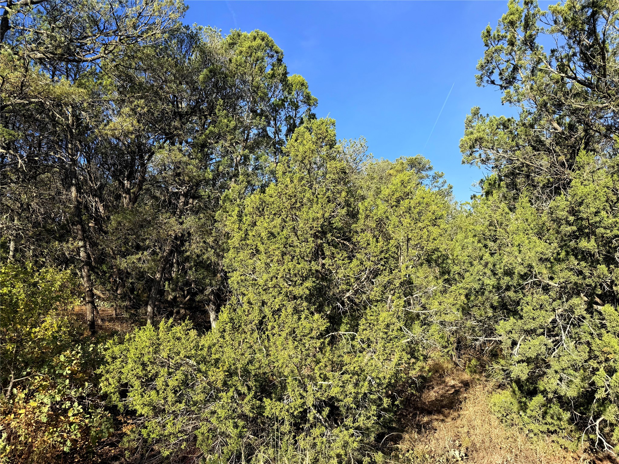 9 Peterson Road Edgewood, NM 87015 - Photo 7 of 9