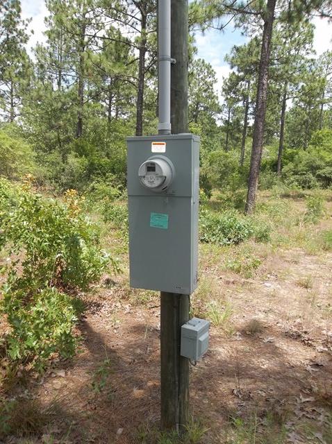 685 Mauk Road Mauk, GA 31058 - Photo 8 of 11 a pathway of a yard