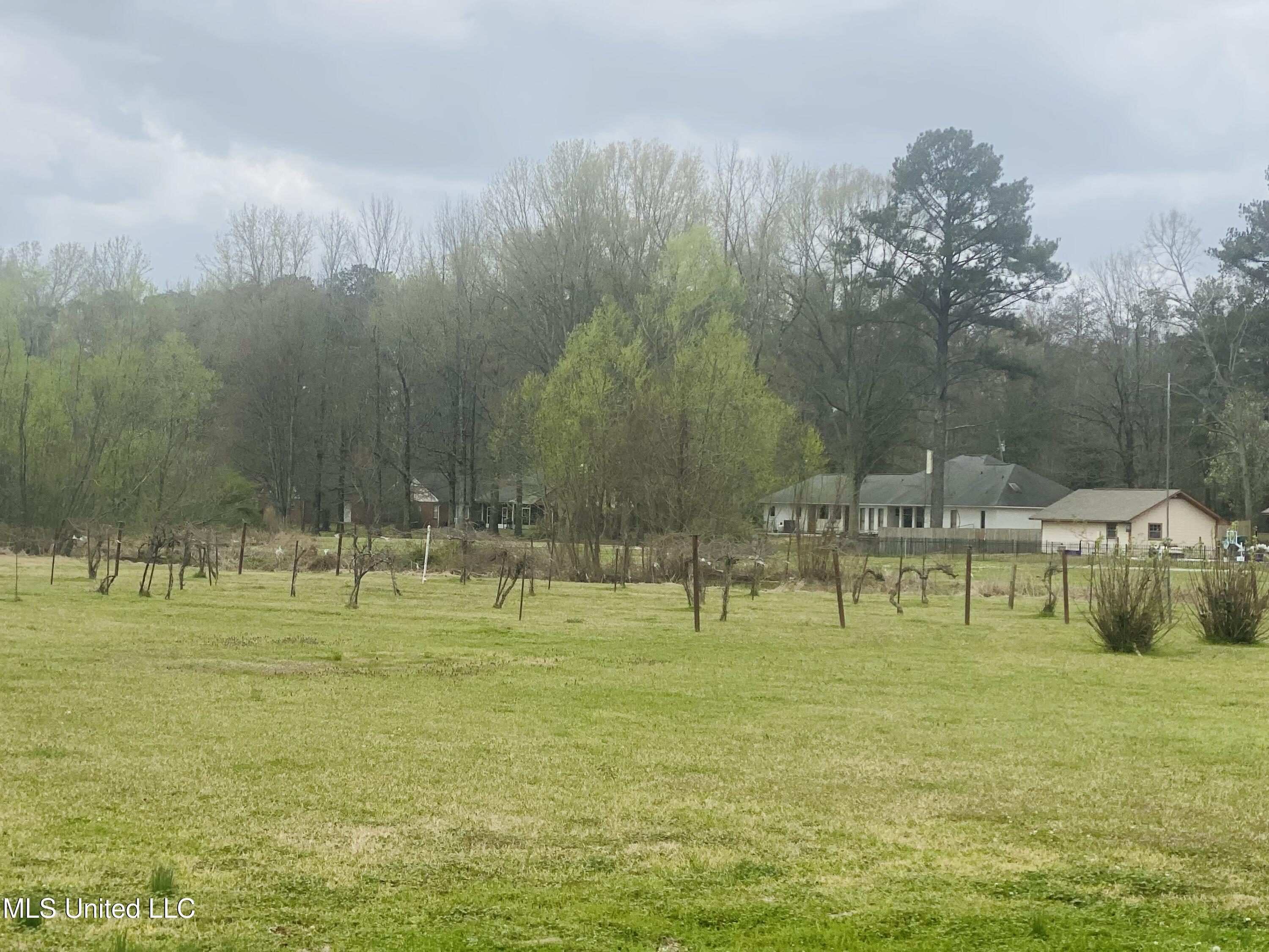 543 North Spring Lake Circle Terry, MS 39170 - Photo 68 of 70 IMG_2088