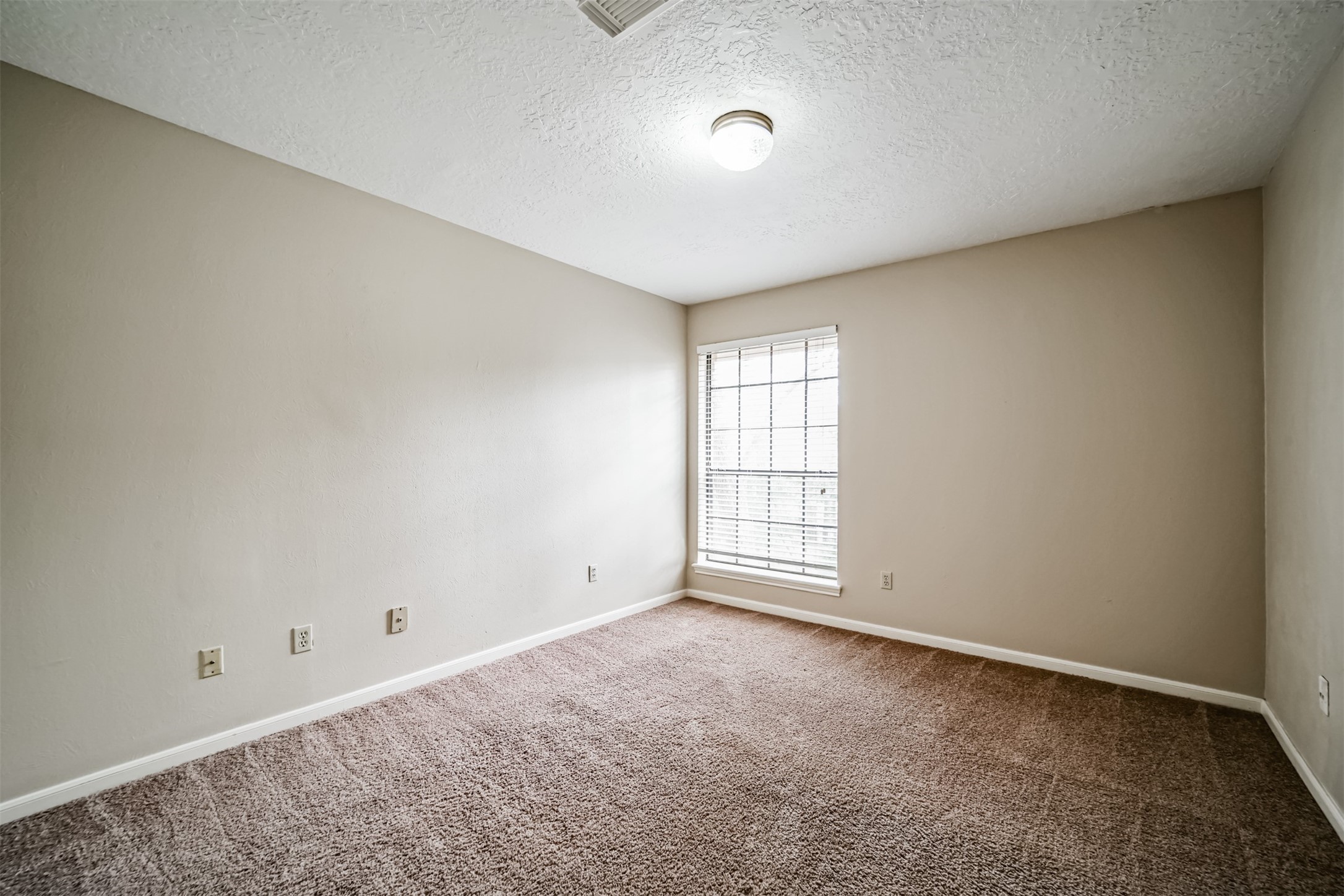 67 North Skyflower Court Spring, TX 77381 - Photo 35 of 45