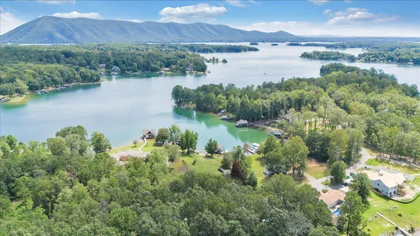 an aerial view of green landscape with trees houses and lake view