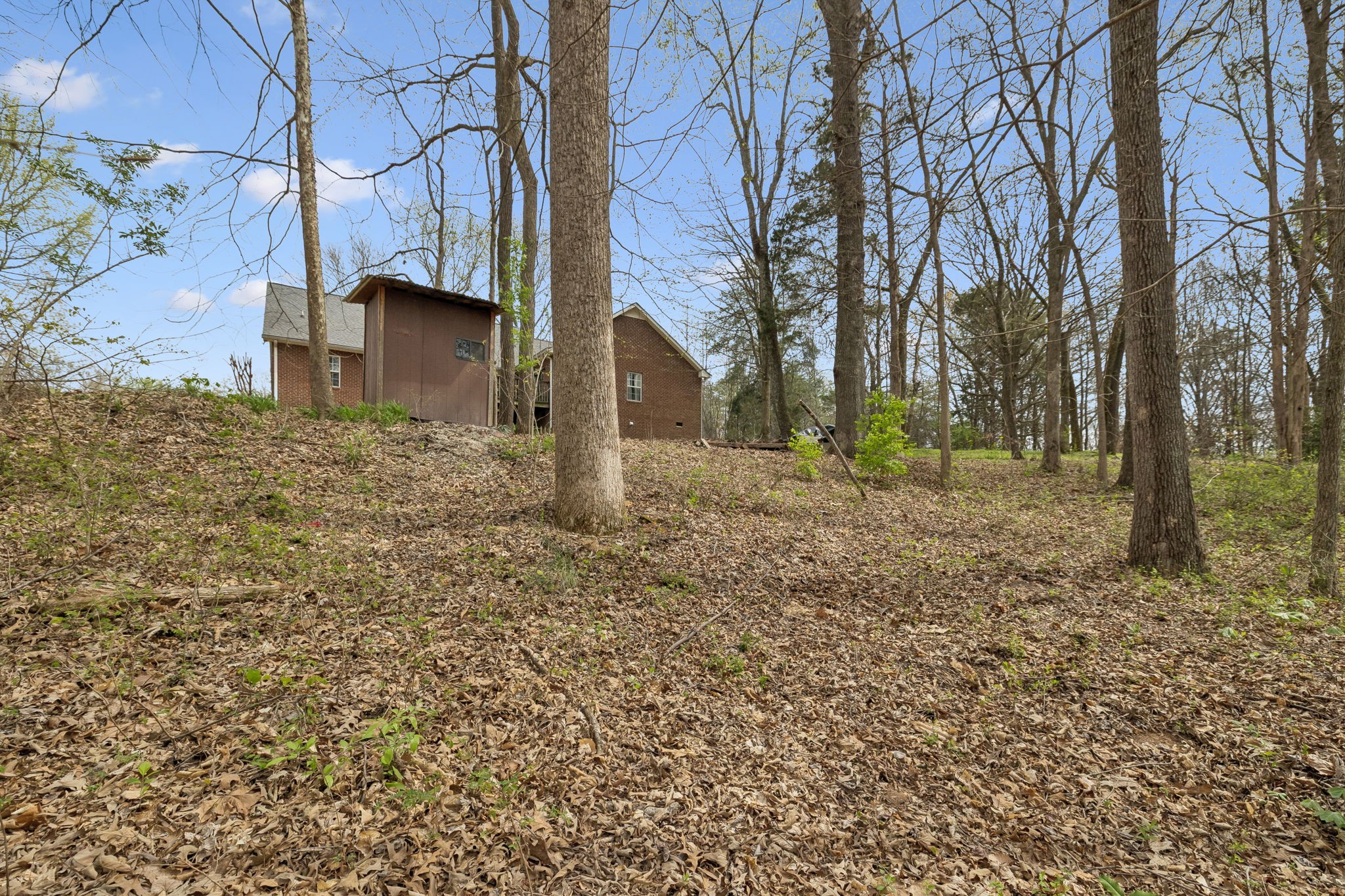119 Christi Place Pleasant View, TN 37146 - Photo 59 of 62 a backyard of a house with lots of green space