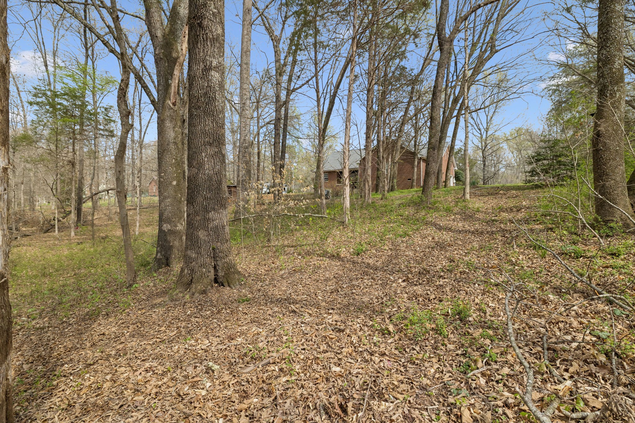 119 Christi Place Pleasant View, TN 37146 - Photo 60 of 62