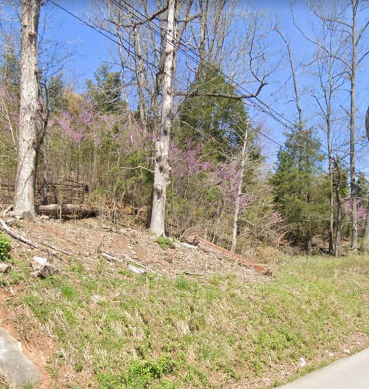 Dunlap Road Kingsport, TN 37663 - Photo 4 of 5 63D66CF8-D486-495B-9FE8-C1B22C0C34BD