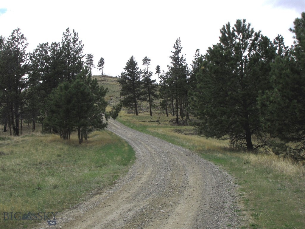 Tbd Tbd Wild Turkey Ridge Road Columbus, MT 59019 - Photo 50 of 55 Gallery Image 50