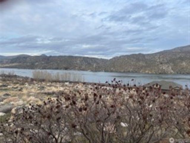 Boulder Gulch Loop Loop Pateros, WA 98846 - Photo 5 of 5