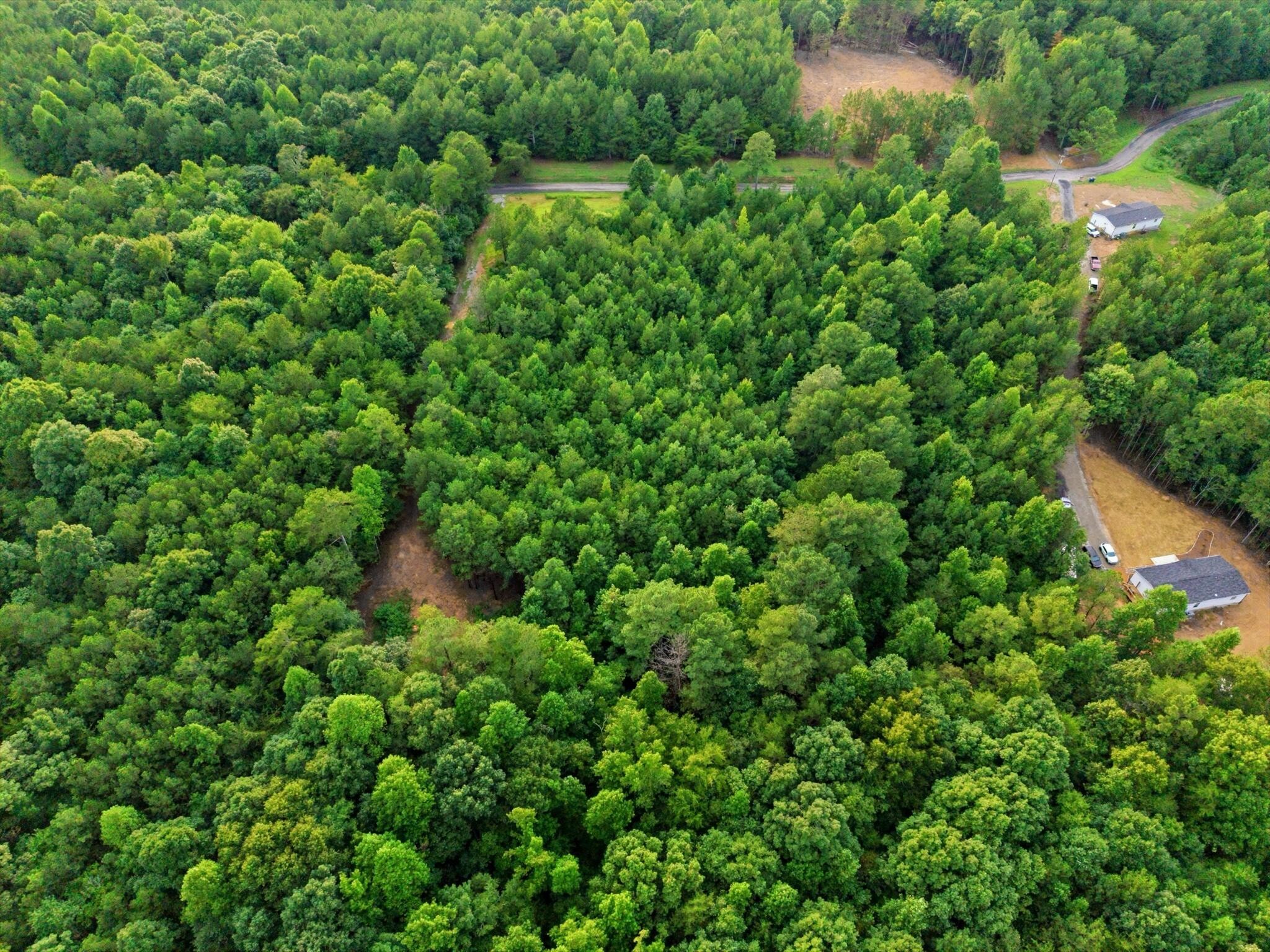 0 Washboard Road Southeast Old Fort, TN 37362 - Photo 8 of 12 Gallery Image 8