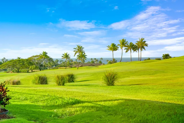 a view of a swimming pool with an ocean view