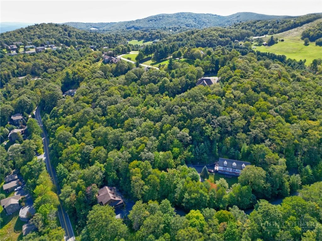 Highland Lakes Road Blowing Rock, NC 28605 - Photo 14 of 15