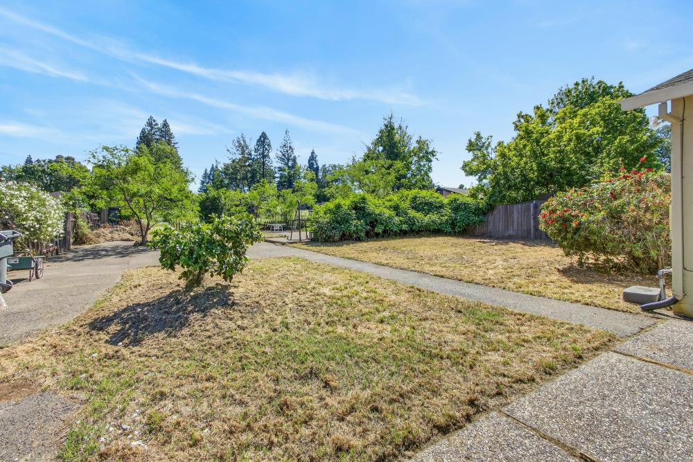 8780 Elm Avenue Orangevale, CA 95662 - Photo 14 of 23 a view of a yard with plants and a bench