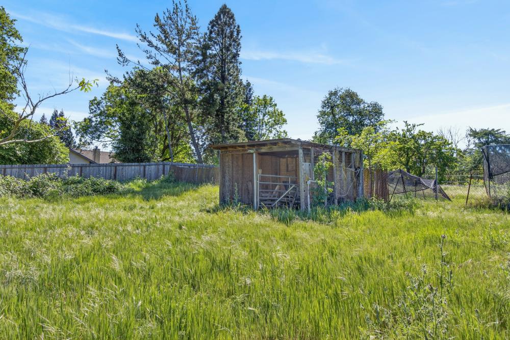 8780 Elm Avenue Orangevale, CA 95662 - Photo 20 of 23 a backyard of a house with lots of green space