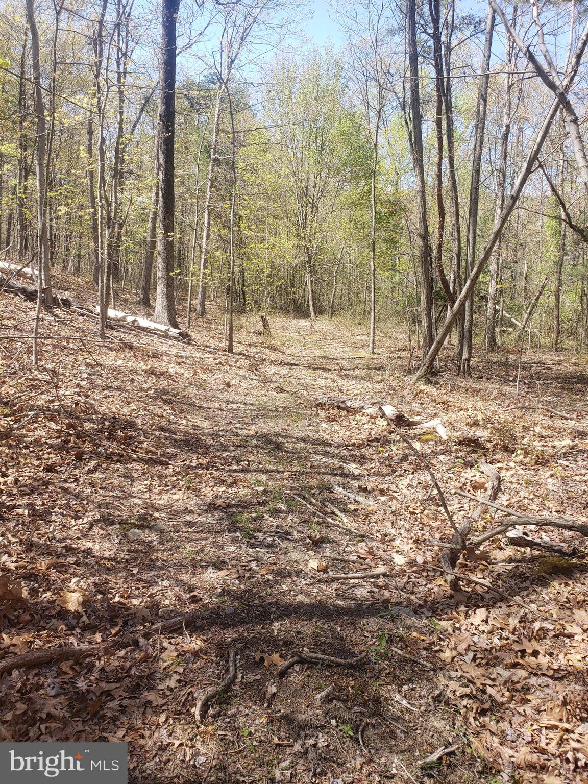Lot 2 Back Road Maurertown, VA 22644 - Photo 3 of 10 Gallery Image 3