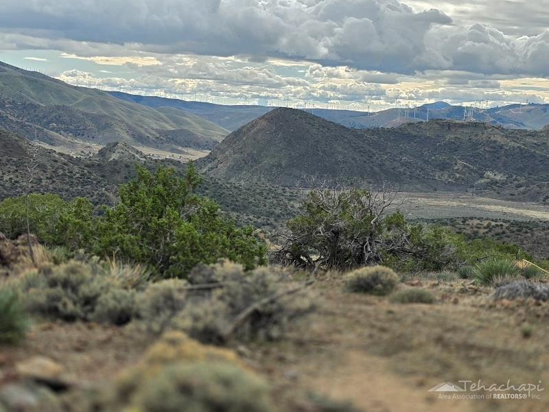 0 Tanganda Court Tehachapi, CA 93561 - Photo 3 of 19 Gallery Image 3