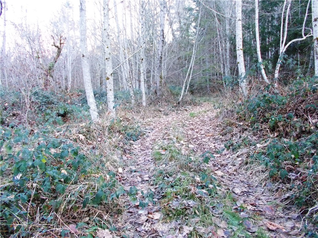 -xxx Carr Road Randle, WA 98377 - Photo 2 of 25 Gallery Image 2