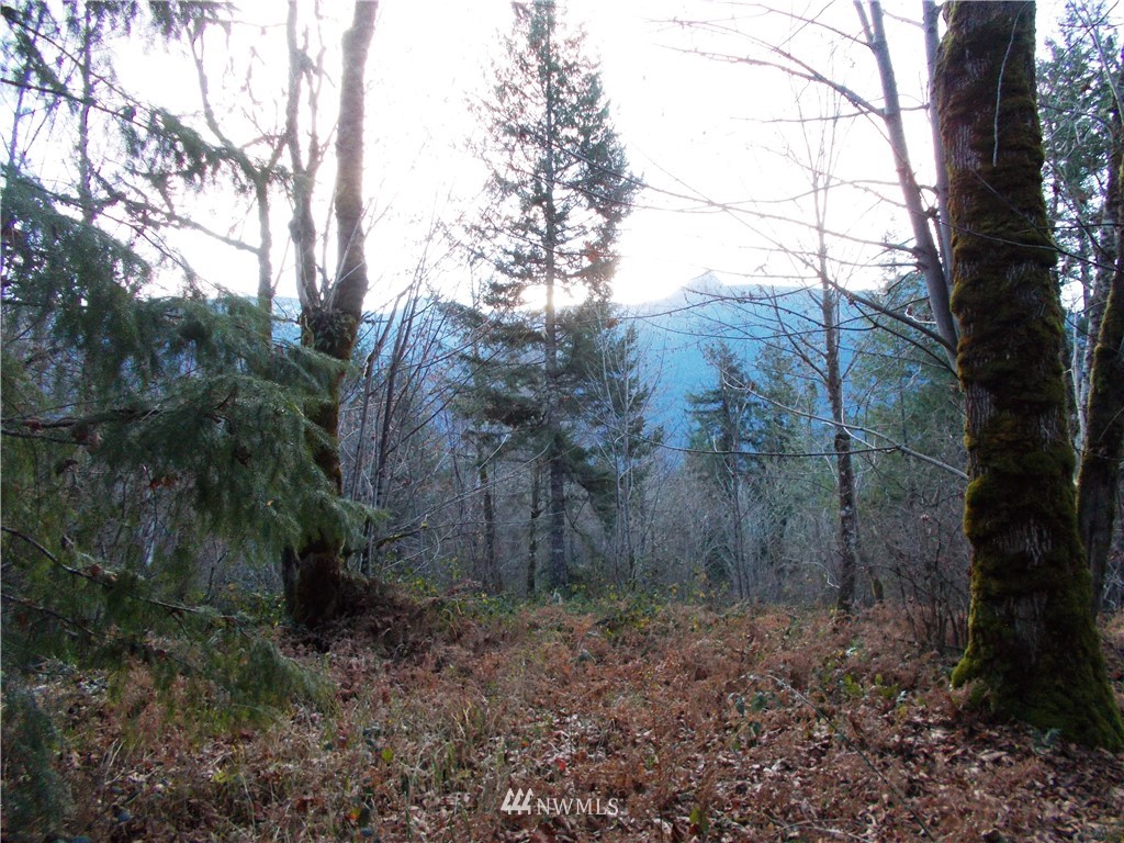 -xxx Carr Road Randle, WA 98377 - Photo 11 of 25 Gallery Image 11