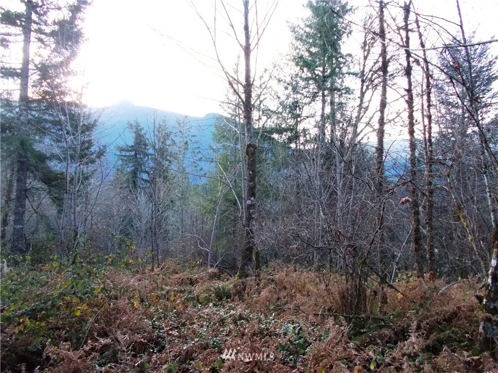 -xxx Carr Road Randle, WA 98377 - Photo 12 of 25 Gallery Image 12