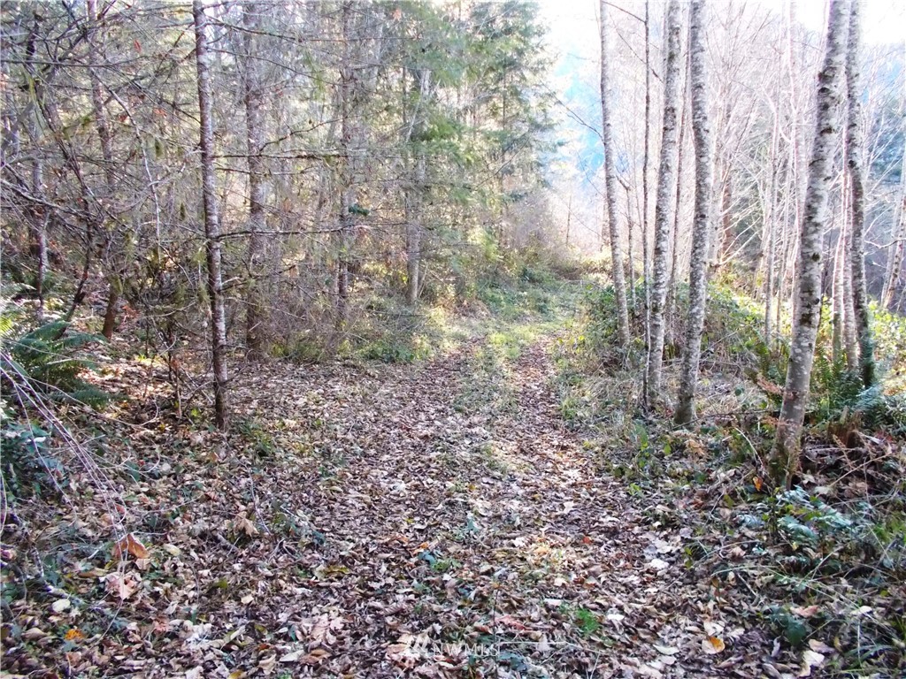 -xxx Carr Road Randle, WA 98377 - Photo 19 of 25 Gallery Image 19