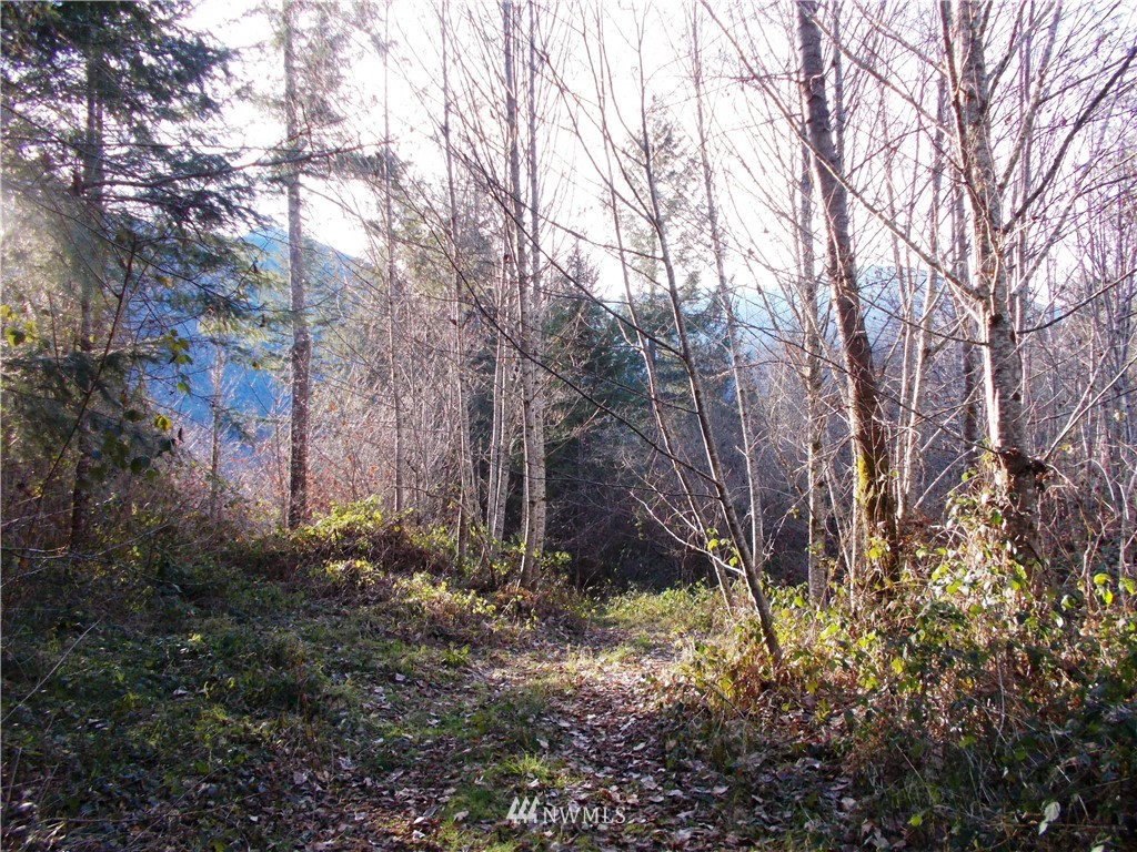 -xxx Carr Road Randle, WA 98377 - Photo 20 of 25 Gallery Image 20