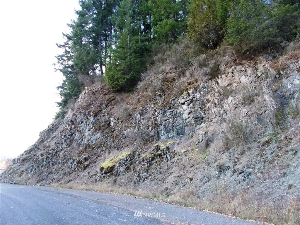 -xxx Carr Road Randle, WA 98377 - Photo 23 of 25 Gallery Image 23
