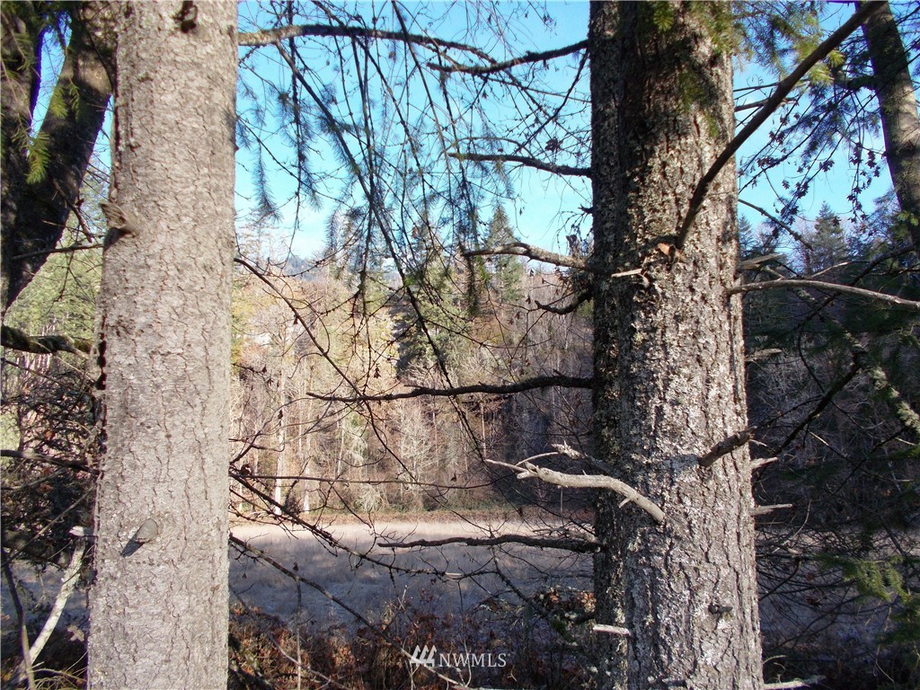-xxx Carr Road Randle, WA 98377 - Photo 24 of 25 Gallery Image 24