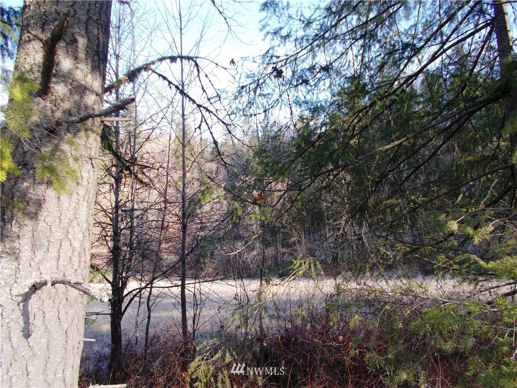 -xxx Carr Road Randle, WA 98377 - Photo 25 of 25 Gallery Image 25