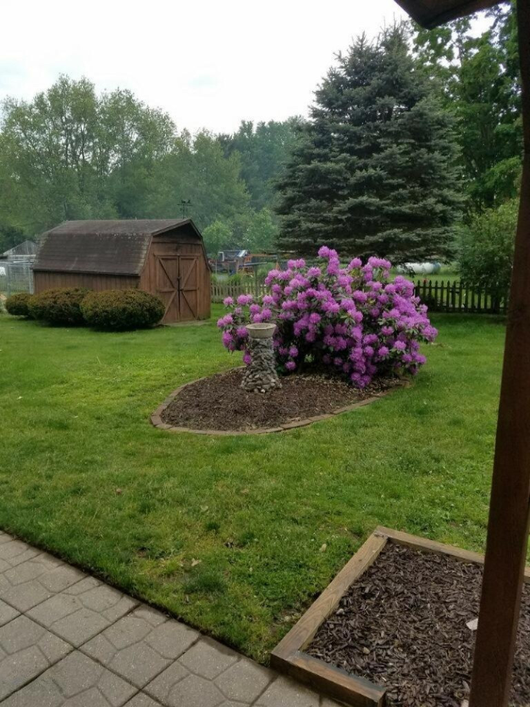 373 Powell Road Hastings, MI 49058 - Photo 5 of 14 image