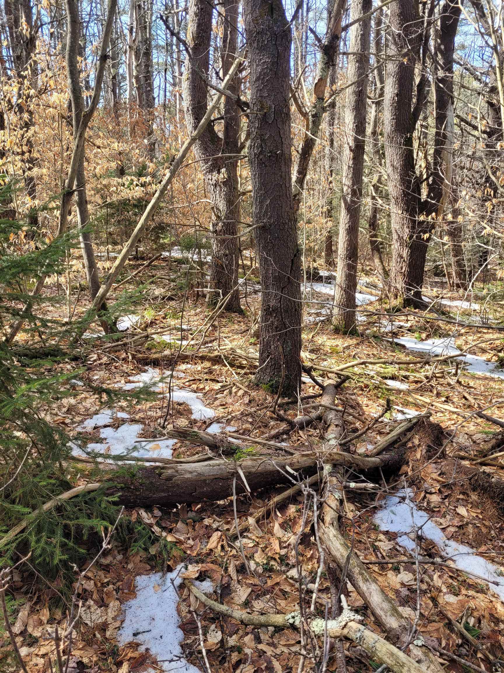 0 Rt 9 Sullivan, NH 03445 - Photo 3 of 4