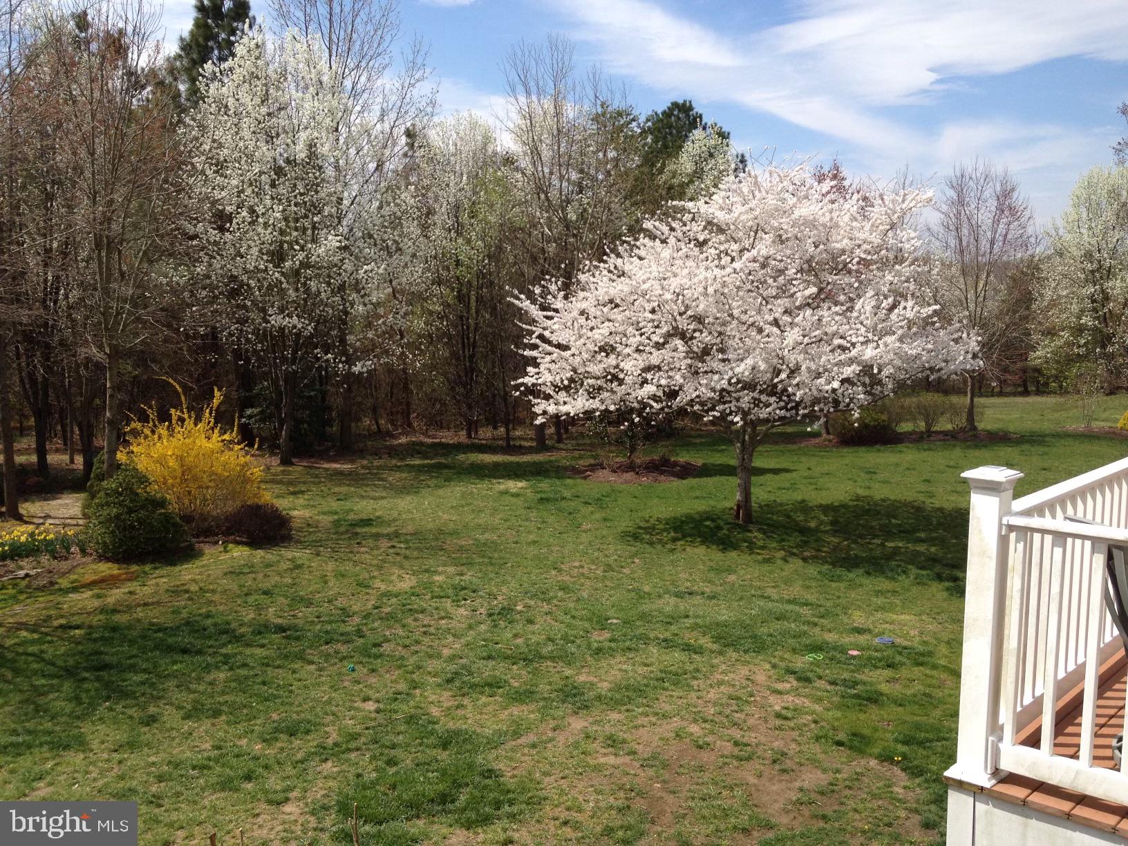 1365 Escapade Court Riva, MD 21140 - Photo 3 of 57 Tranquil rear yard with flowering trees and shrubs